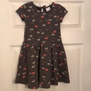 Sonoma girls, sz 4 dress, skater style